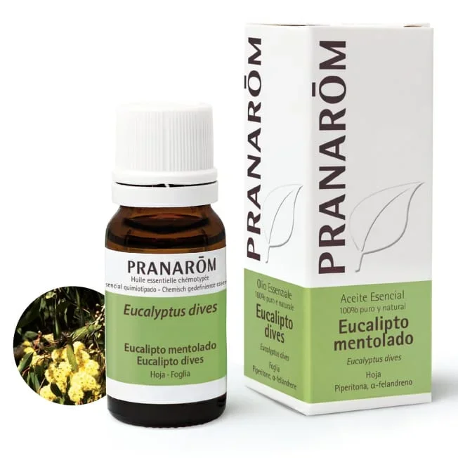 Aceite Esencial de Eucalipto Mentolado – Pranarom – 10 ml