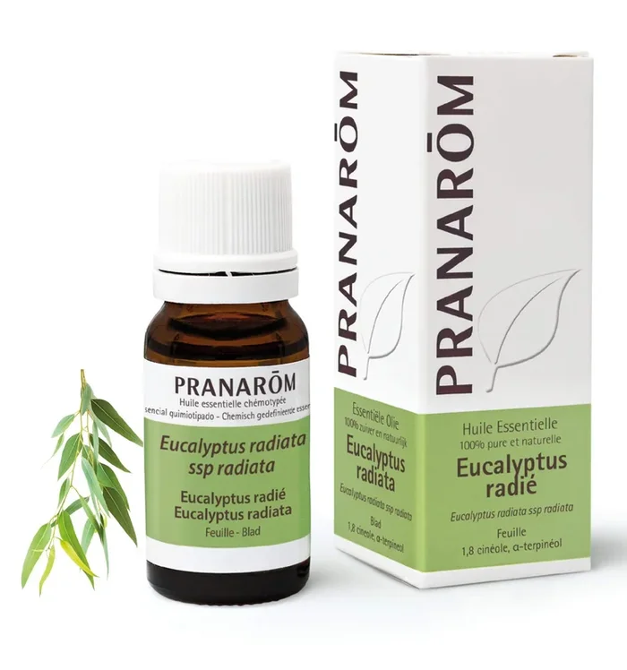 ACEITE ESENCIAL EUCALIPTO RADIATA PRANAROM 10ml