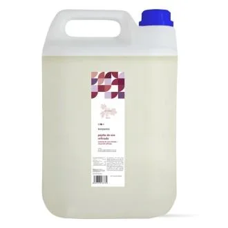 Aceite Vegetal Pepita De Uva Refinado – Terpenic – 5 Litros