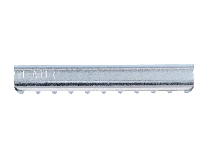CAJA 10 CUCHILLAS FEATHER STYLING BLADE WG TYP
