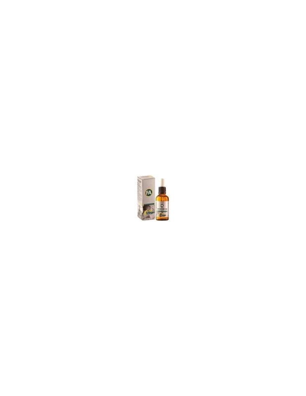 Erlingen Fitoaroma 256 55Ml
