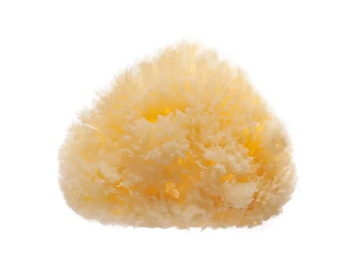 ESPONJA NATURAL BAÑO