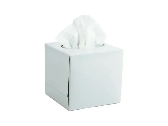 GREENSOURCE Pañuelos faciales en cubo
