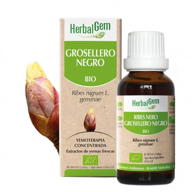 Grosellero Negro Bio – Herbalgem – 50 ml