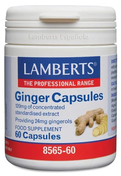 Jengibre 14.400 mg – Lamberts – 60 cápsulas