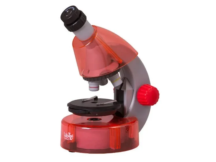Microscope Compact Éducatif Levenhuk LabZZ M101 – Éclairage LED, Accessoires Inclus