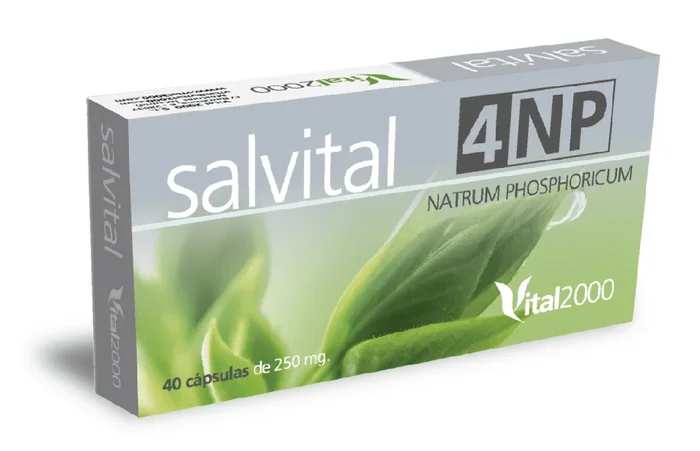 Salvital 4 NP – Natrum phosphoricum – Vital 2000 – 40 cápsulas