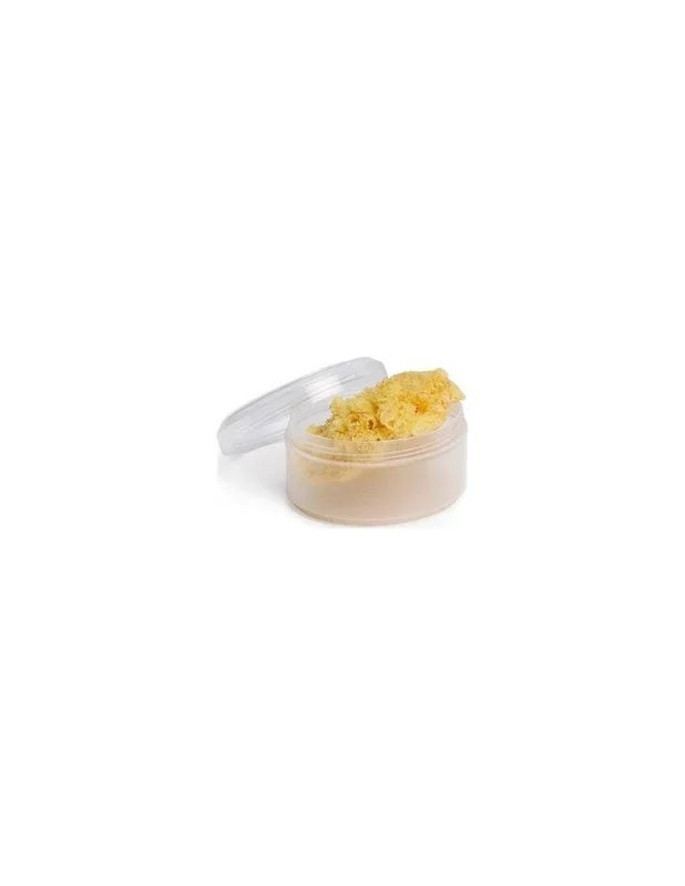 Suavinex® Esponja Infantil Con Canastilla 1Ud